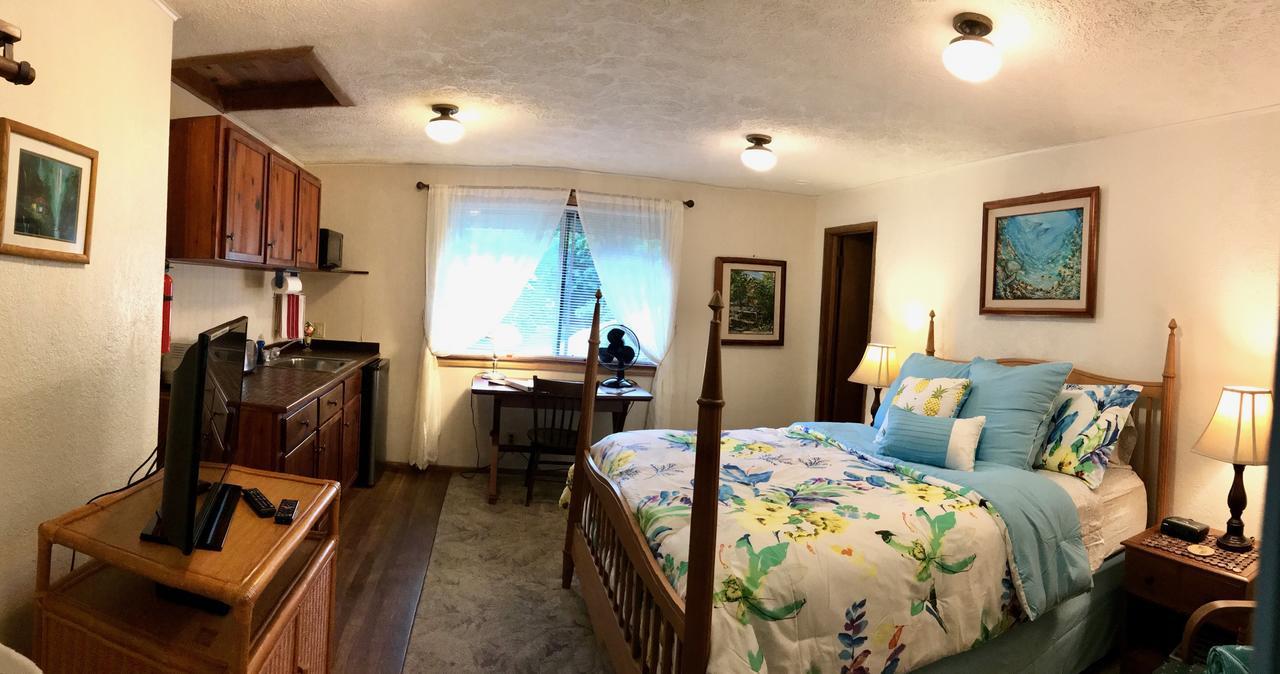 Double Room with Patio